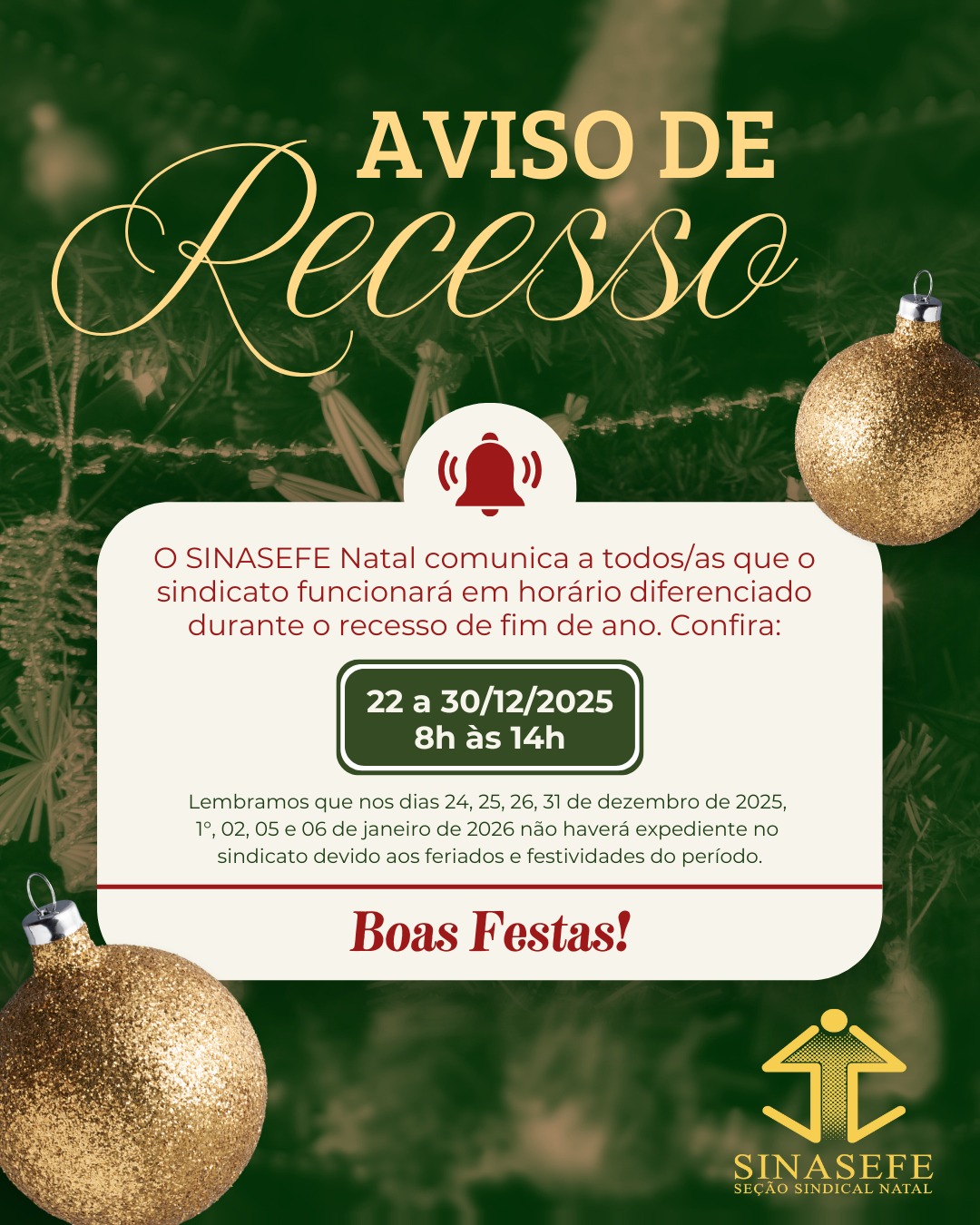 WhatsApp Image 2025-12-18 at 17.10.11