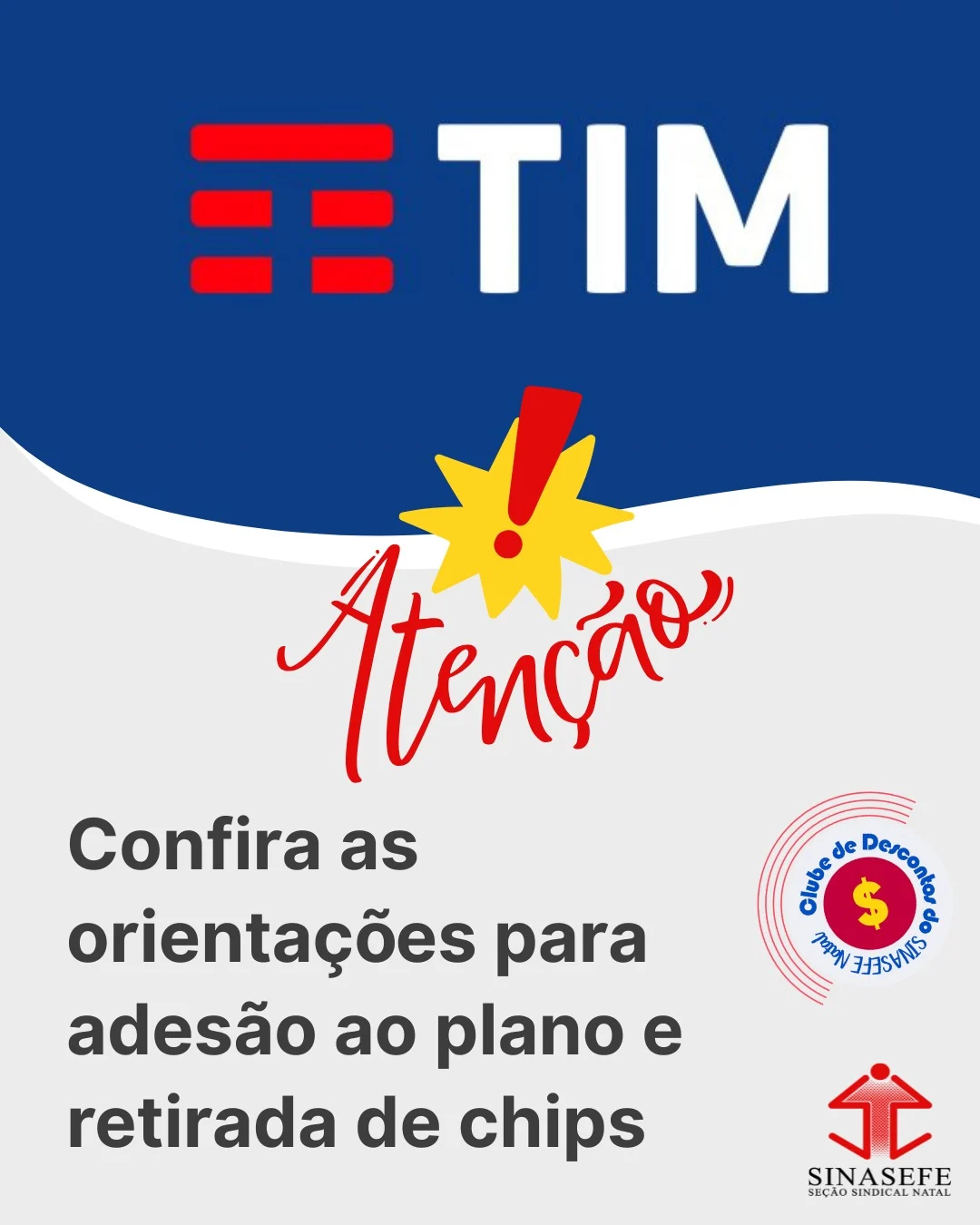 Imagem Destaque