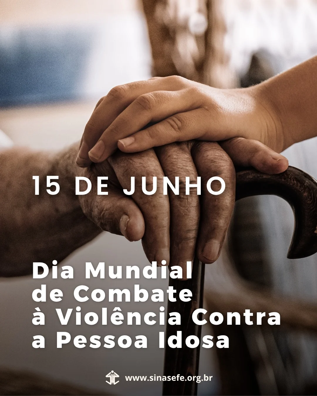 Imagem Destaque